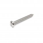 Stainless Steel Pan Head Slotted Self Tapping Screw Type AB Grade A2 DIN7971/C
